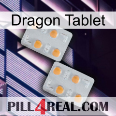 Dragon Tablet 25